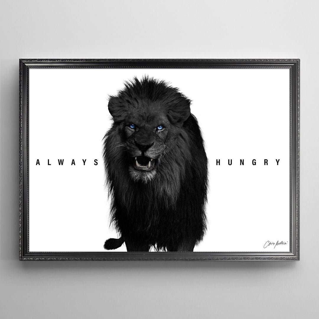 Lion N1.